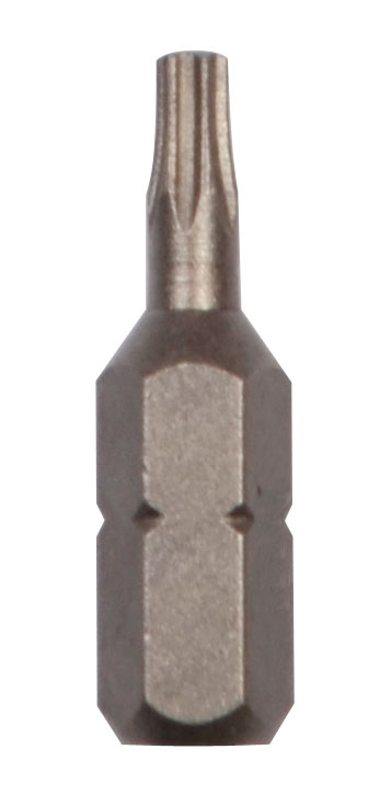 100er Pack Bit für Innen-TX-Schrauben 6,3 [1/4"]